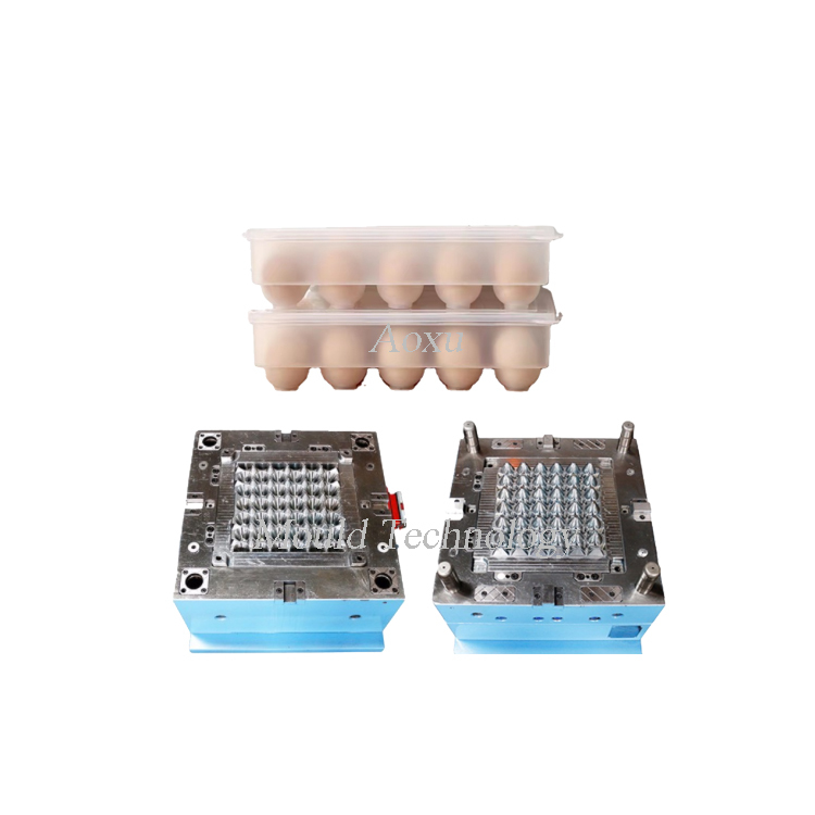 Plastic Egg Storage Box Mold